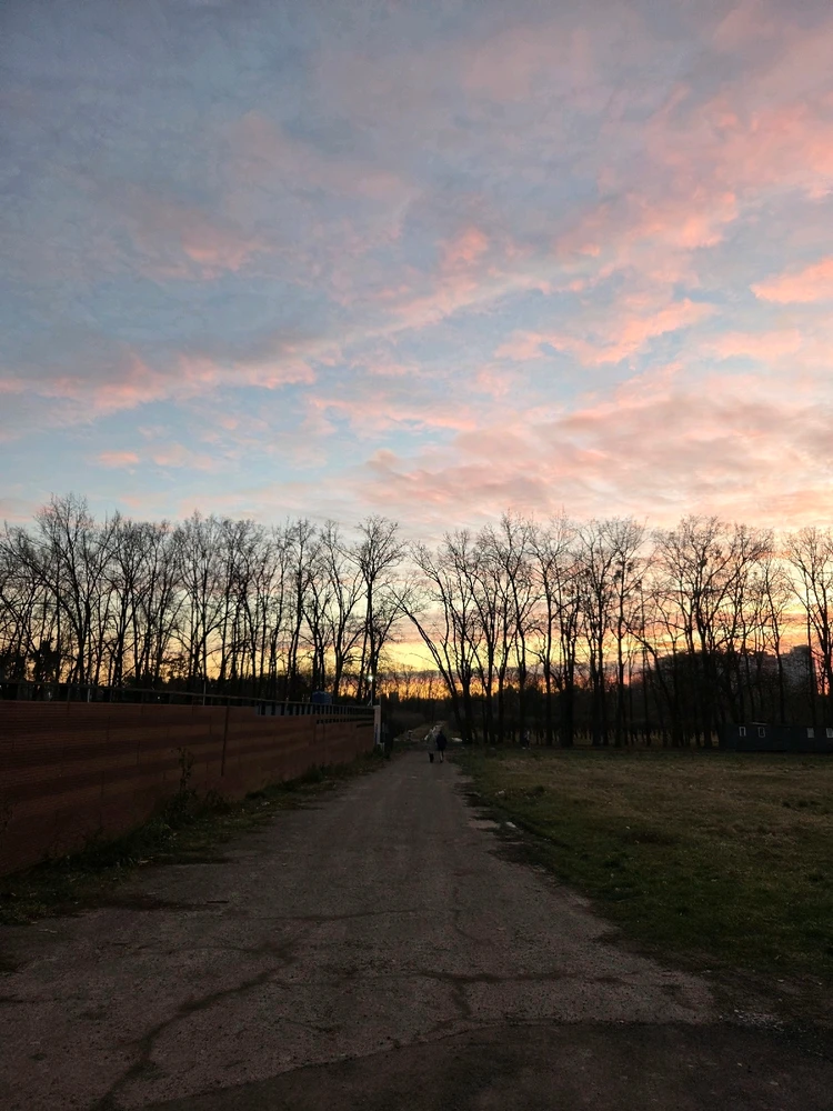 Image uploaded by Liza