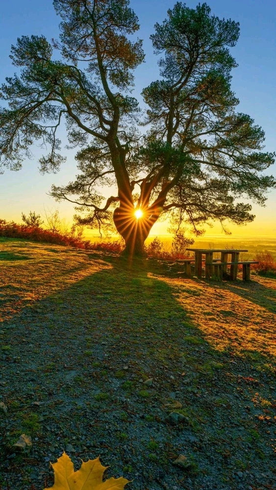 GIF enviado por Dulci