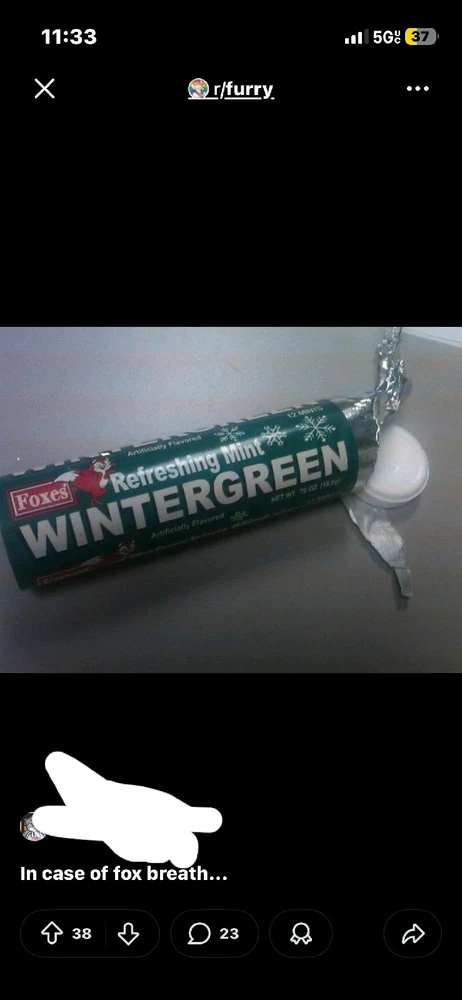 Image uploaded by Molly