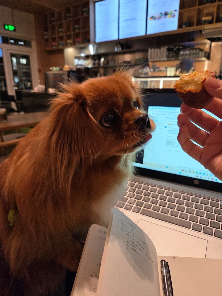 Image uploaded by Liza