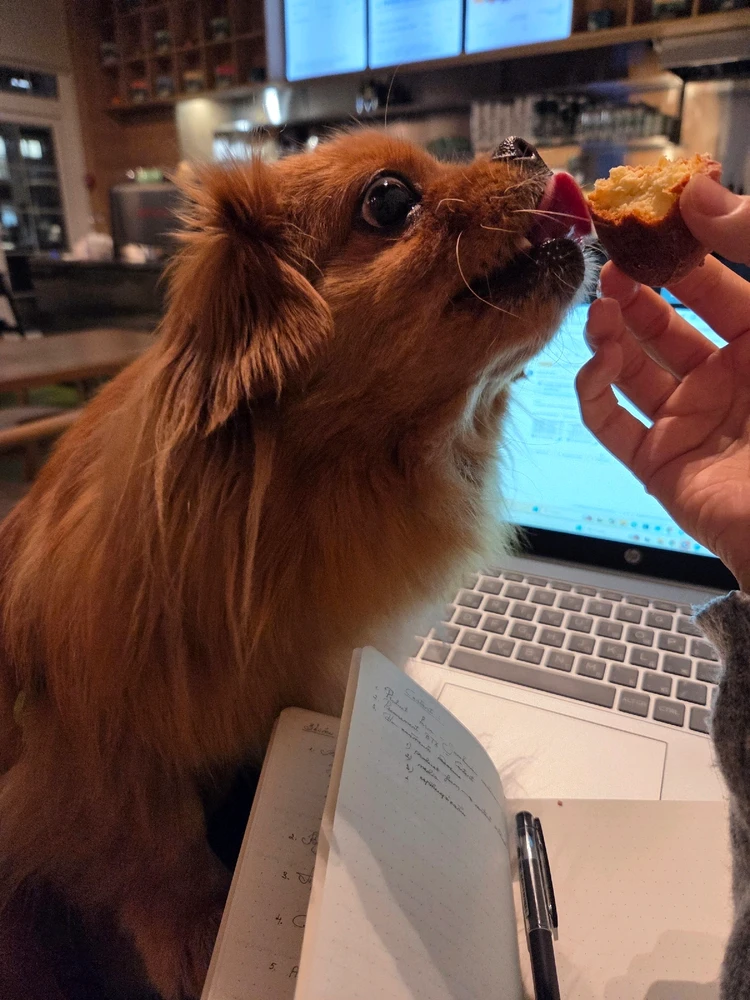 Image uploaded by Liza