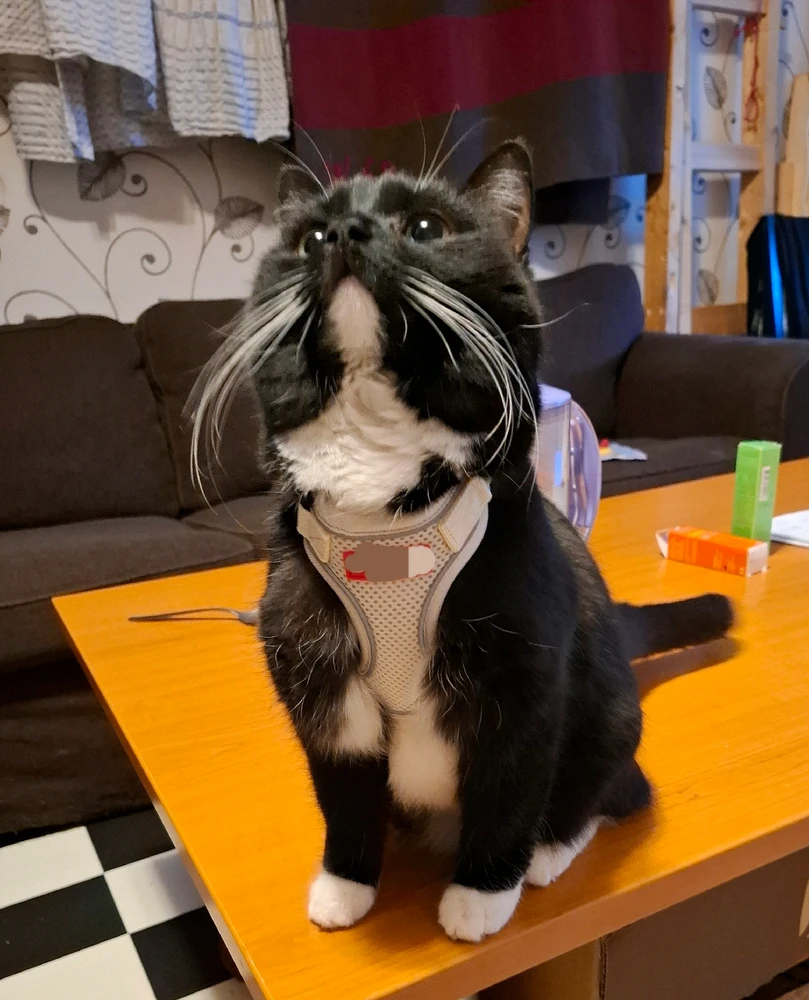 GIF uploaded by RubΓ©n