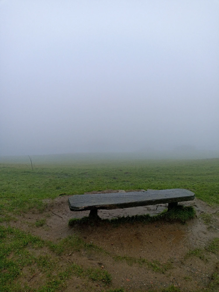 Image uploaded by Ronish