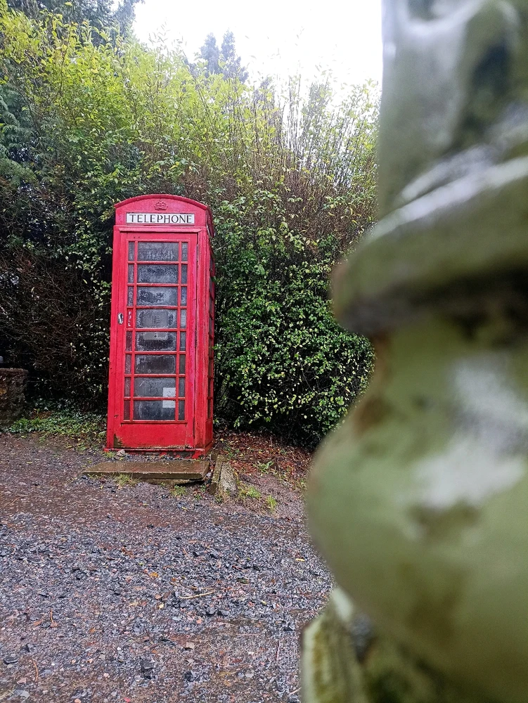 Image uploaded by Ronish