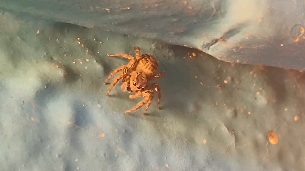 GIF uploaded by Ankit