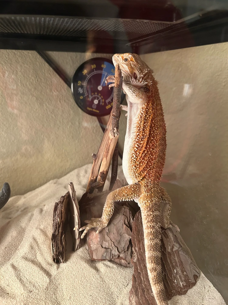 GIF uploaded by Isidro ‘Chilo’ Mendoza