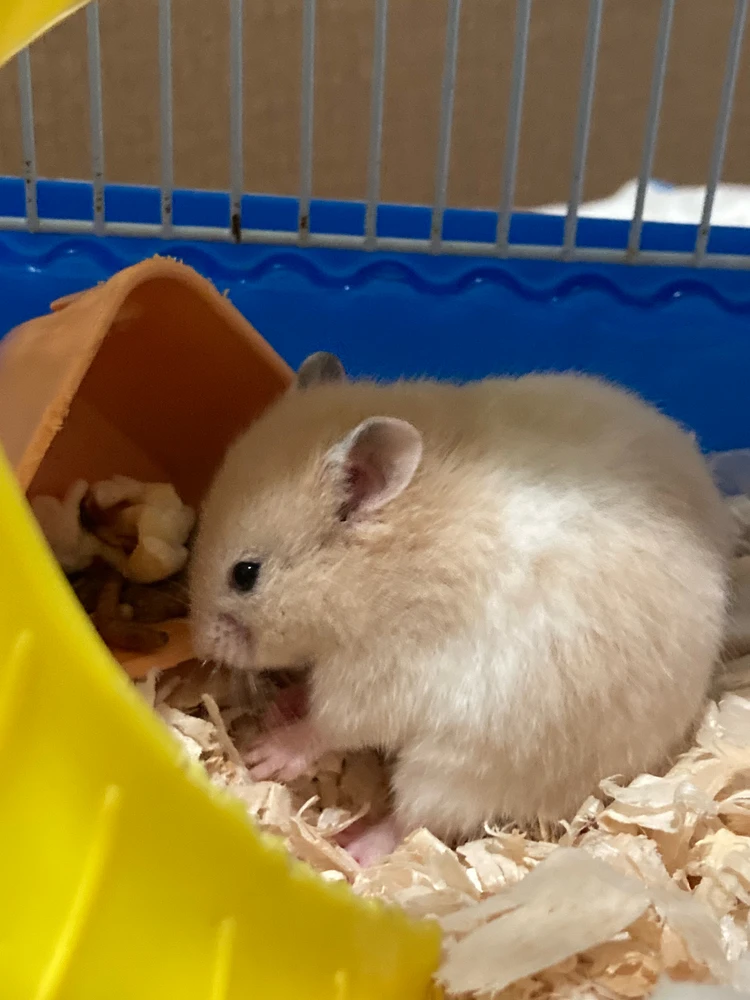 GIF uploaded by A (READ MY BIO FIRST)