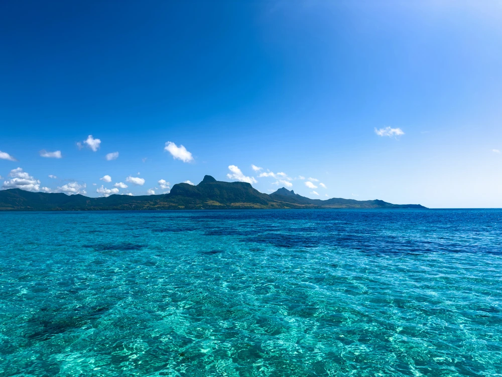 Immagine caricata da Ricky