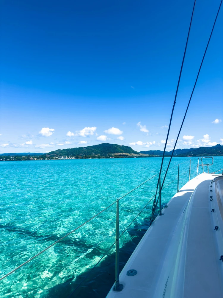 Immagine caricata da Ricky