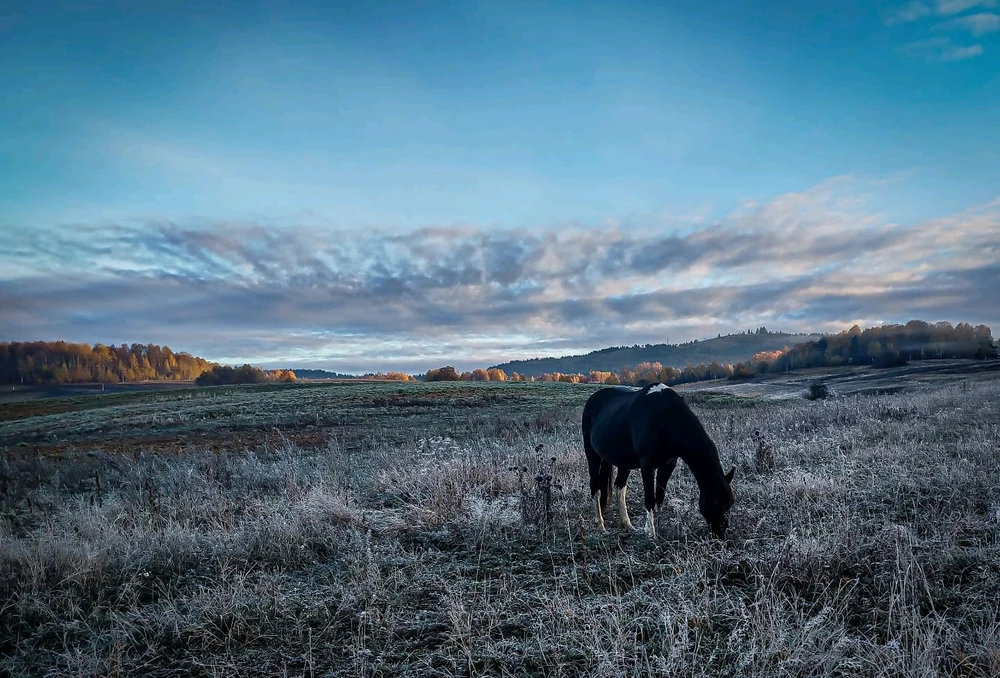 GIF diunggah dening Nebojša