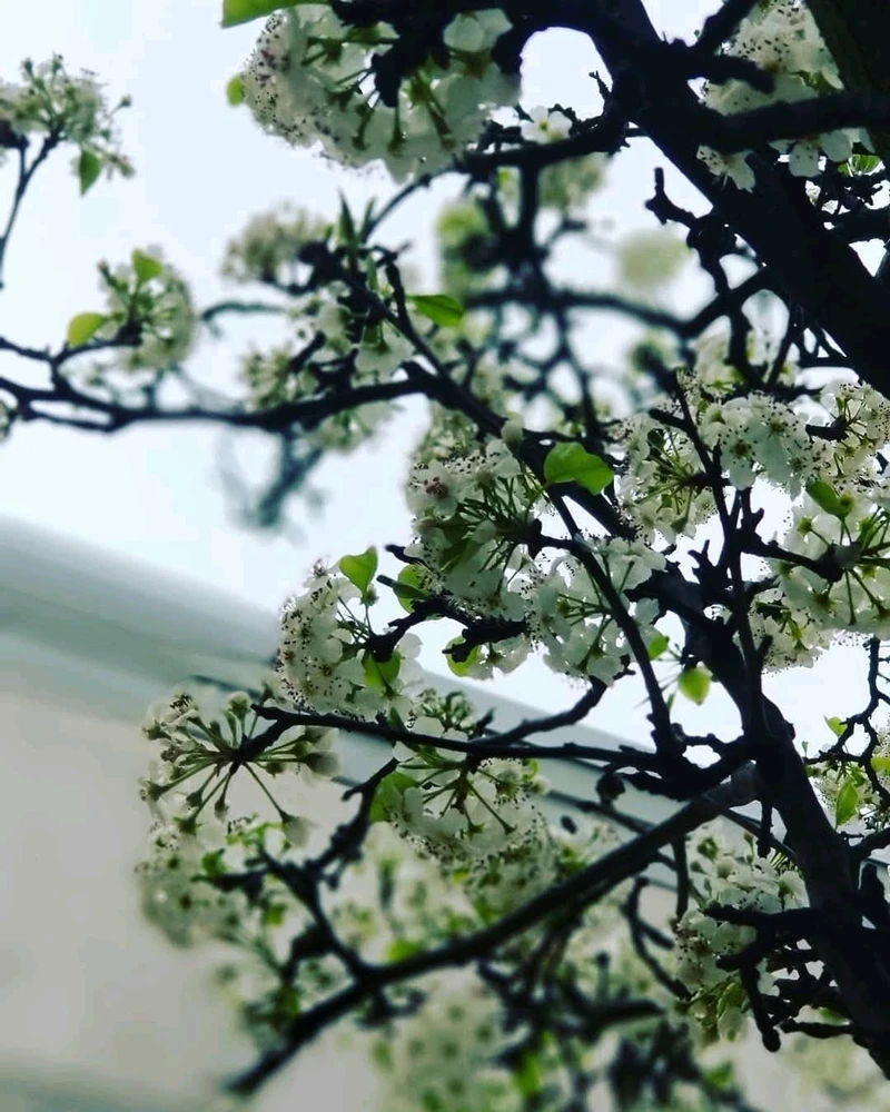 GIF uploaded by Josh