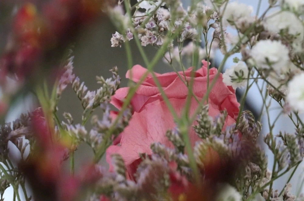 GIF ajouté par Isabelle