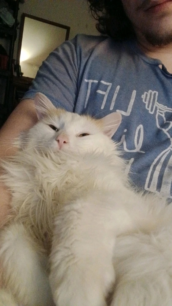 Image uploaded by Sean