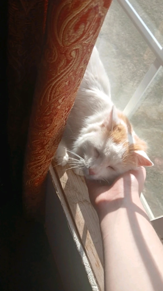 Image uploaded by Sean