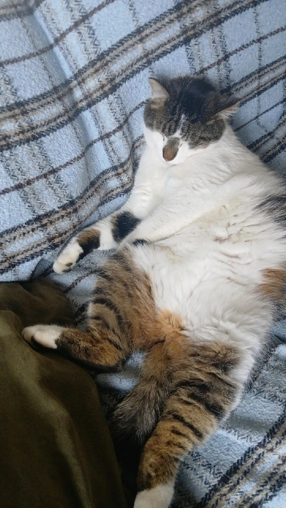 Image uploaded by Sean