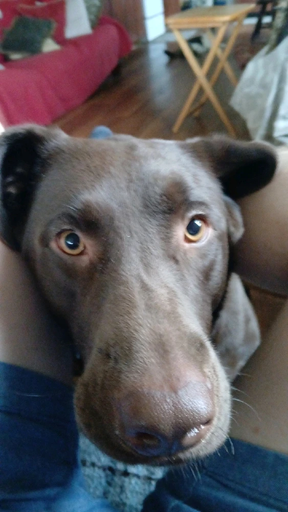 Image uploaded by Sean