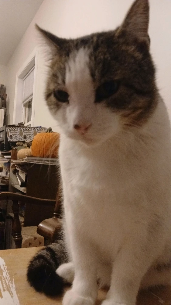 Image uploaded by Sean