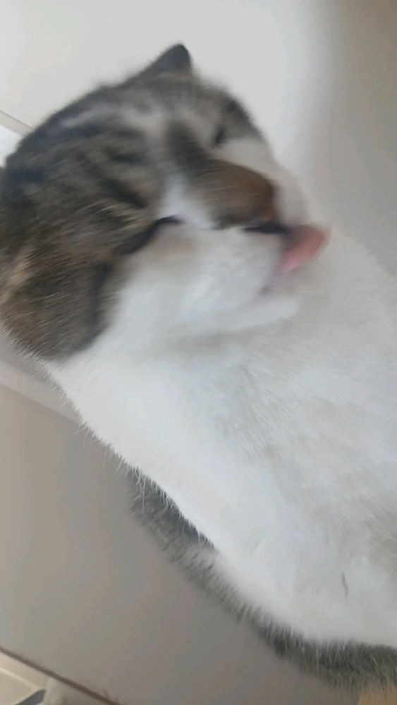 Image uploaded by Sean