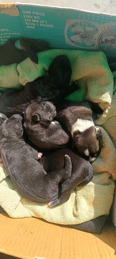 GIF uploaded by Ayush