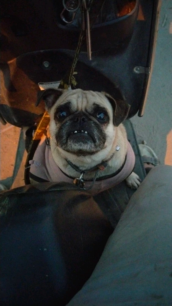 GIF uploaded by Saurabh Sharma