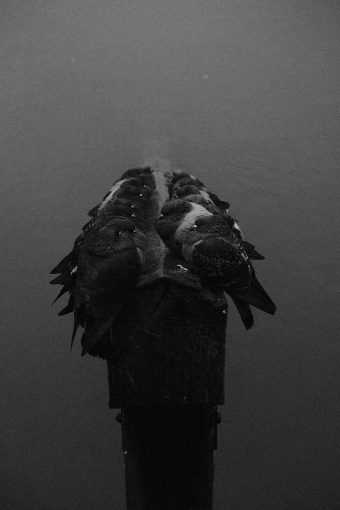 GIF uploaded by Martin