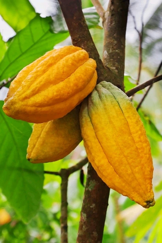 Image uploaded by 𝓢𝓮𝓻𝓮𝓷 • 𝓢𝓮𝓻𝓮𝓷𝓭𝓲𝓹𝓲𝓽𝔂