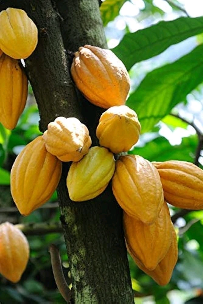 Image uploaded by 𝓢𝓮𝓻𝓮𝓷 • 𝓢𝓮𝓻𝓮𝓷𝓭𝓲𝓹𝓲𝓽𝔂