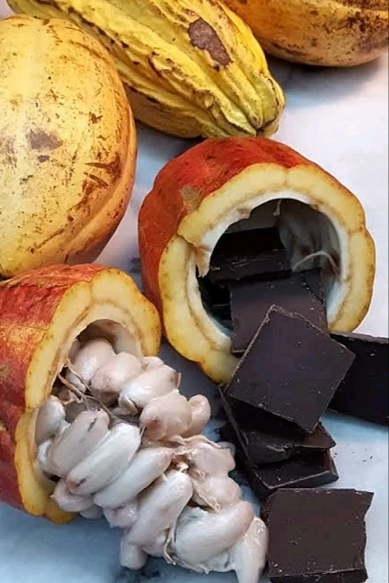 Image uploaded by 𝓢𝓮𝓻𝓮𝓷 • 𝓢𝓮𝓻𝓮𝓷𝓭𝓲𝓹𝓲𝓽𝔂