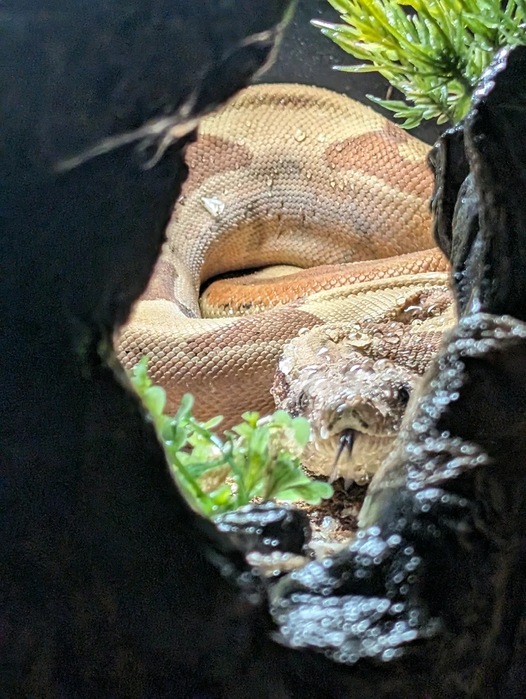 GIF uploaded by Jordin