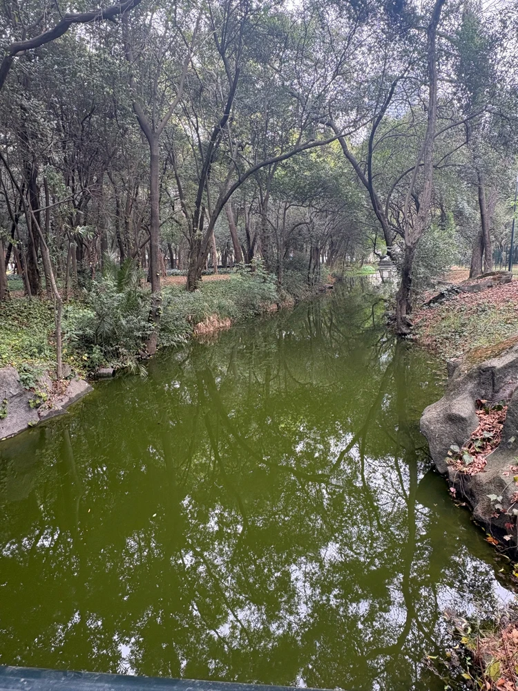 Imagen subida por Johann ramses