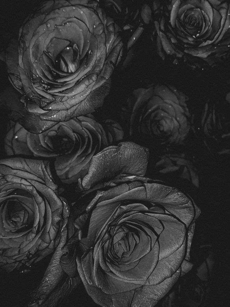 Image uploaded by Alex