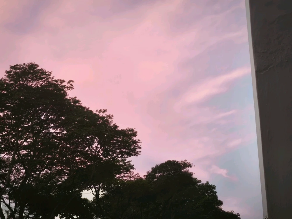 Image uploaded by Rosy