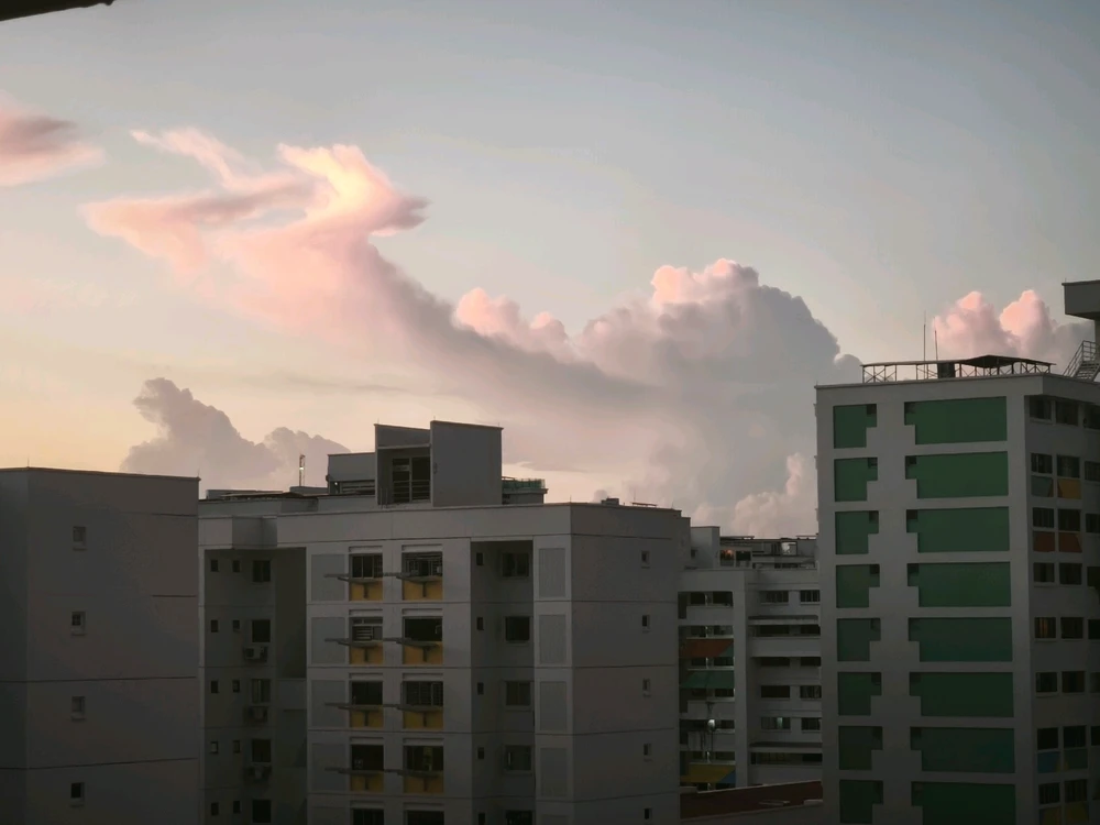 Image uploaded by Rosy