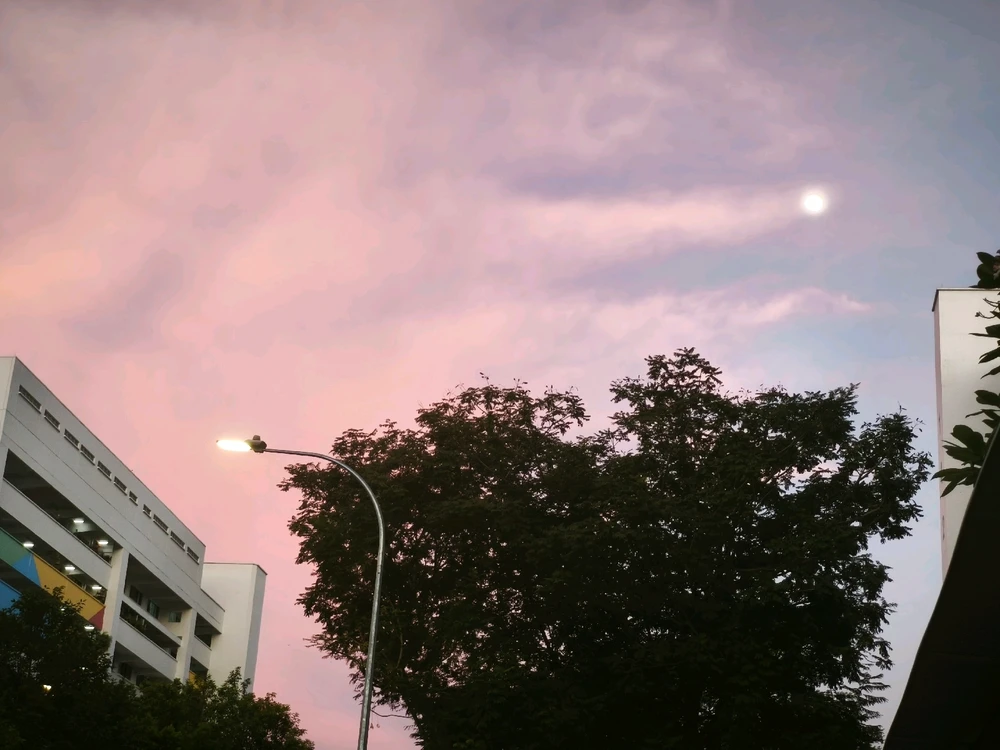 Image uploaded by Rosy