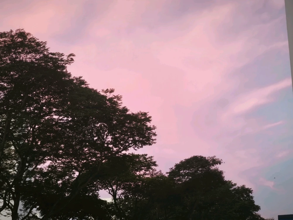 Image uploaded by Rosy