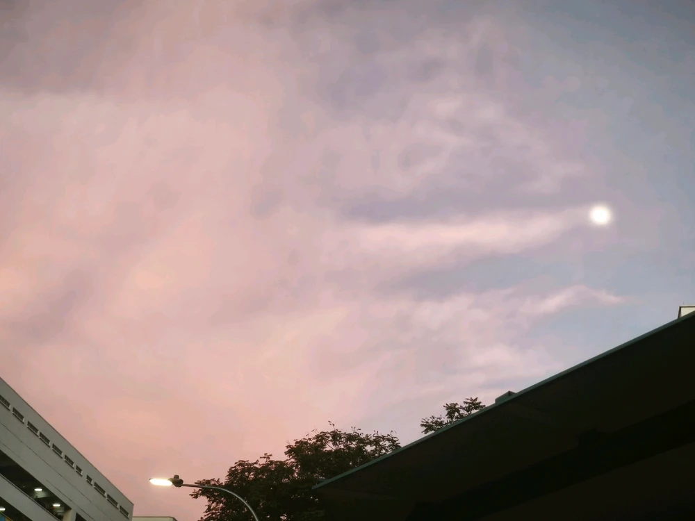 Image uploaded by Rosy