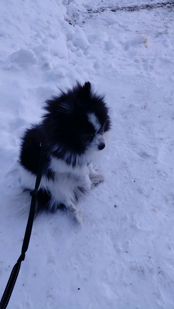 GIF uploaded by Benny