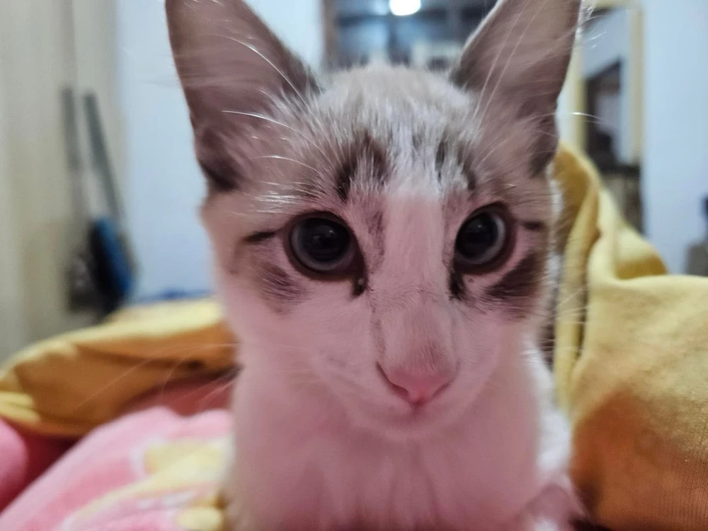 Imagem enviada por Iago