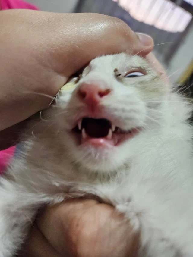 Imagem enviada por Iago