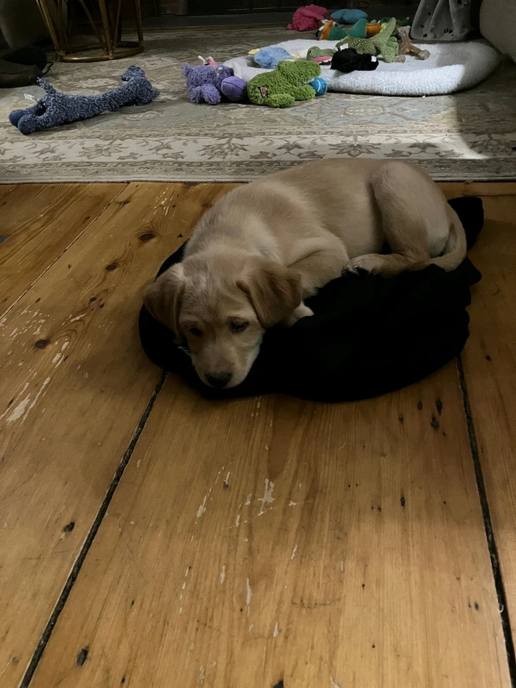 GIF uploaded by Jack