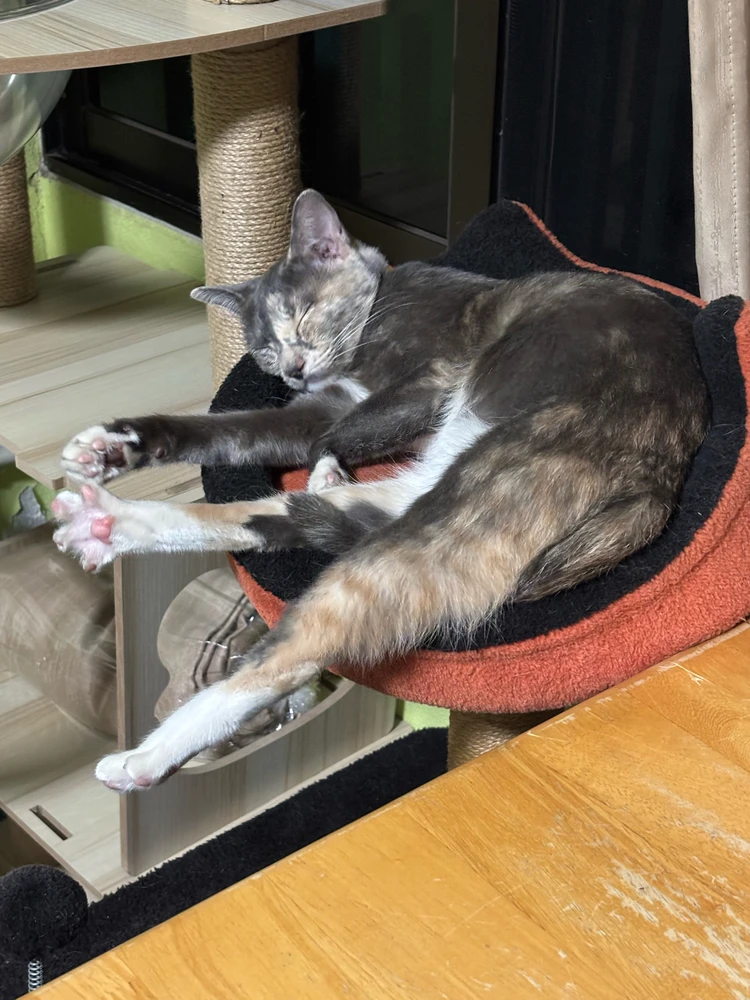 GIF diunggah dening Pat♡