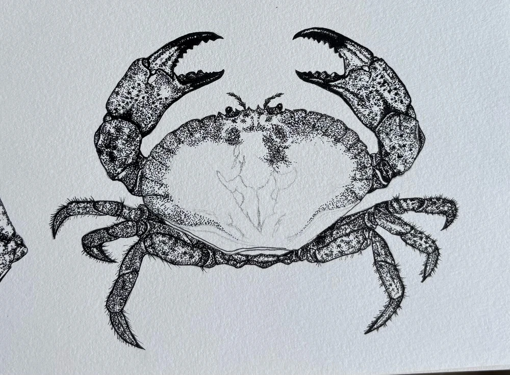 GIF ajouté par Lisbeth