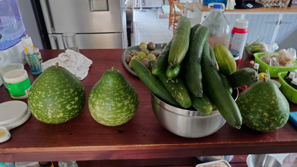 Image uploaded by CheffieGR