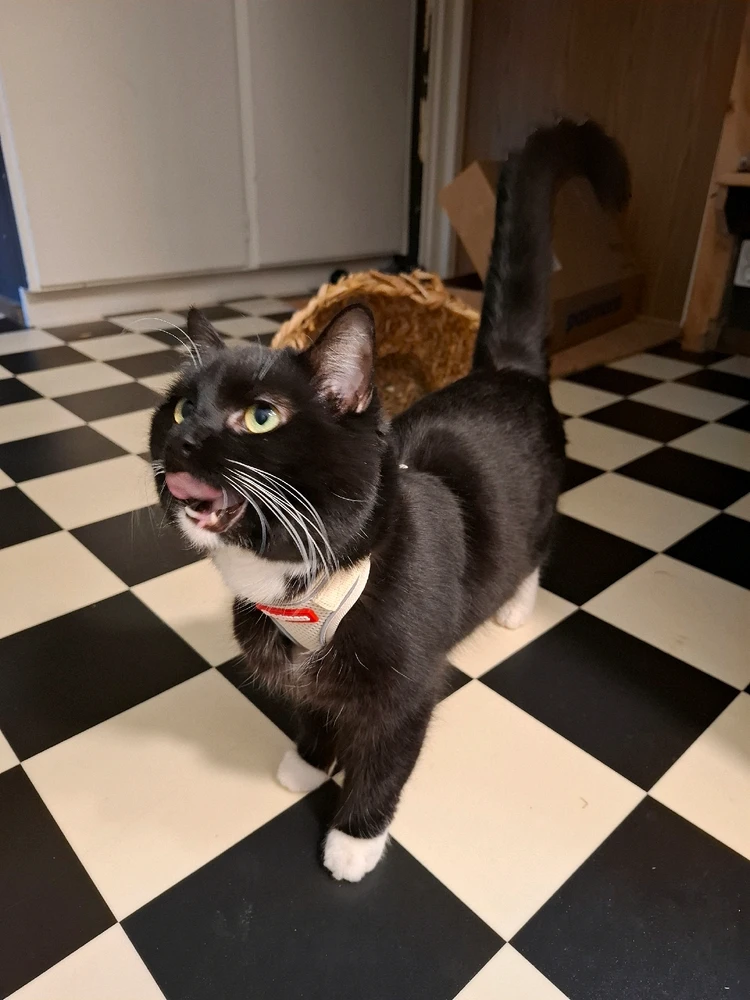 Imagen subida por Rubén