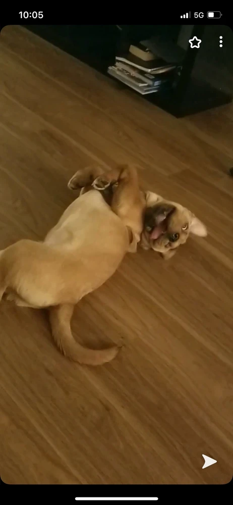 GIF uploaded by Mike