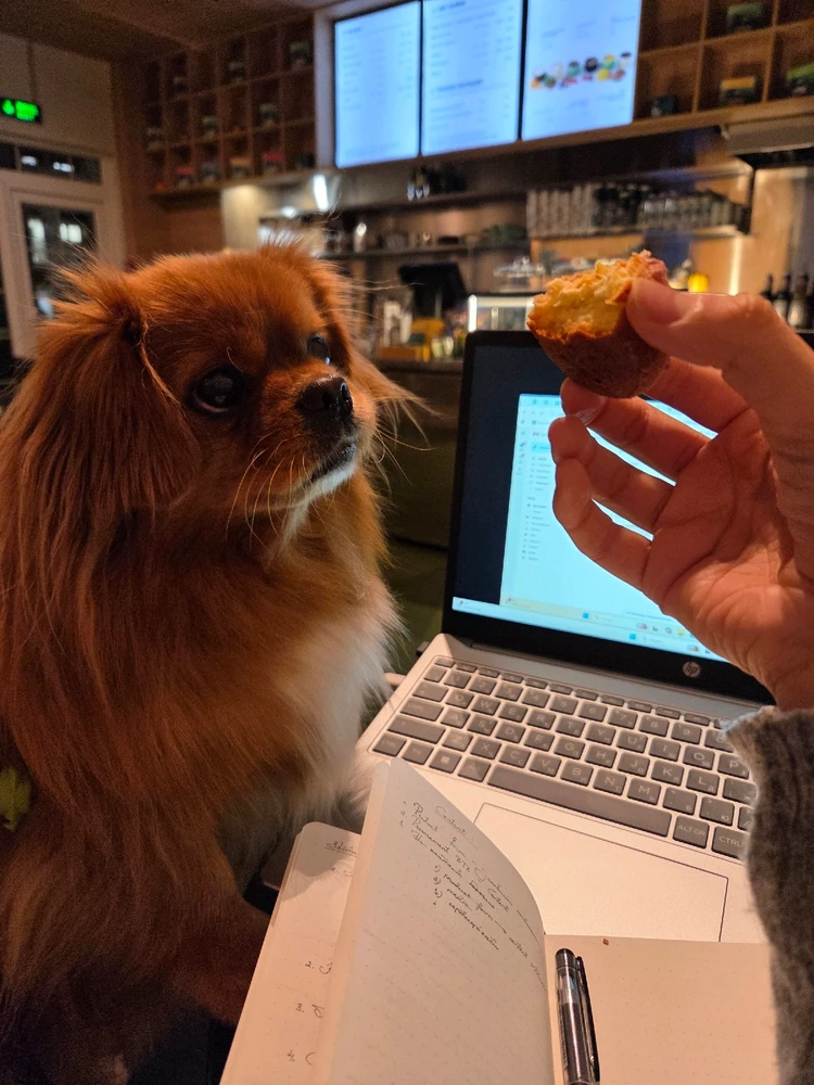 Зображення завантажив Liza