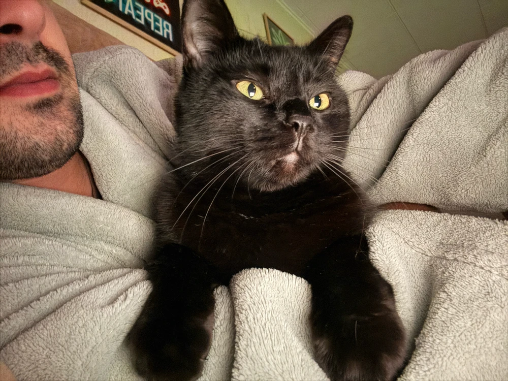 GIF încărcat de Mihai