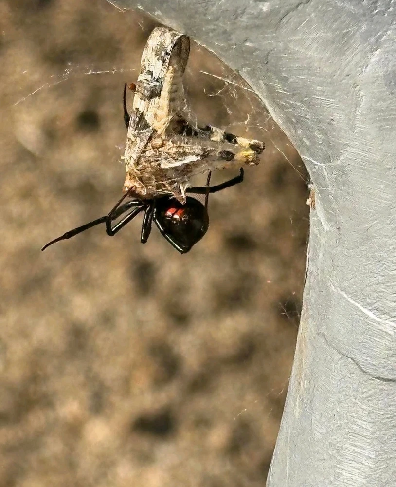 GIF uploaded by Kenzie Edwards