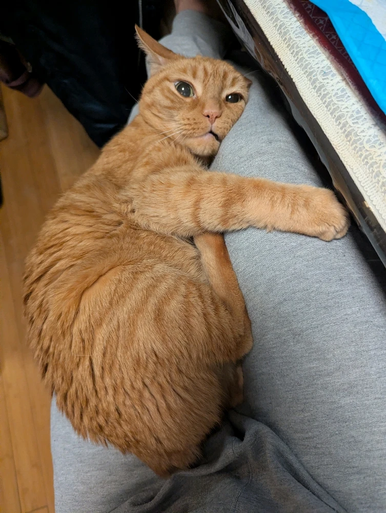 GIF uploaded by Tony