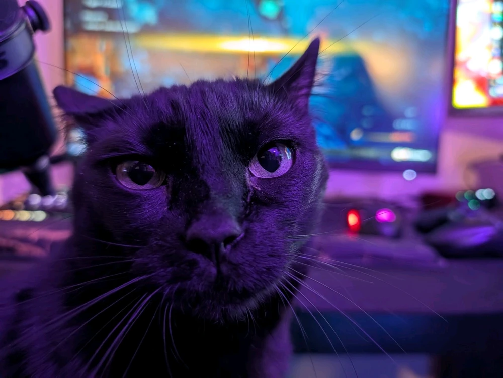 GIF diunggah dening Chase